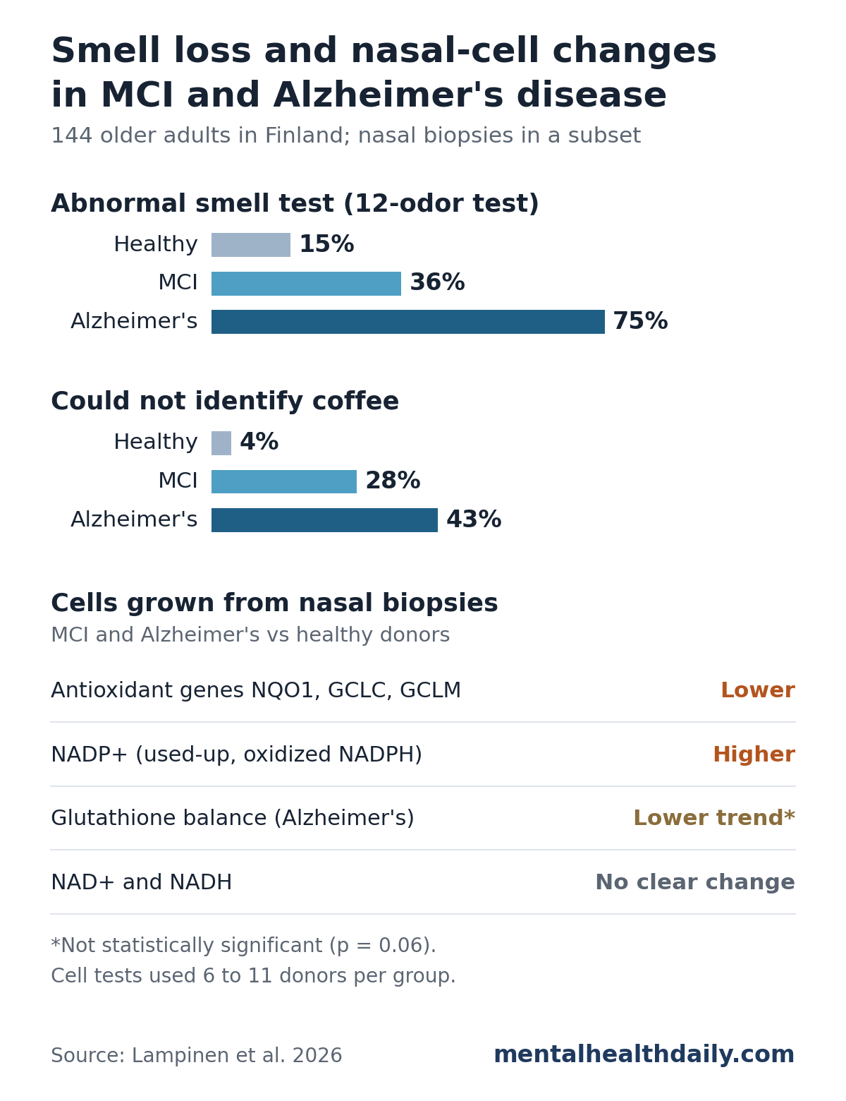 Chart from a 2026 study of 144 older adults in Finland. An abnormal 12-odor smell test was found in 15% of cognitively healthy adults, 36% with mild cognitive impairment and 75% with Alzheimer's disease. Coffee could not be identified by 4%, 28% and 43%. In cells grown from nasal biopsies, antioxidant genes NQO1, GCLC and GCLM were lower and NADP+ was higher in MCI and Alzheimer's vs healthy donors; glutathione balance showed a nonsignificant lower trend in Alzheimer's, and NAD+ and NADH showed no clear change.