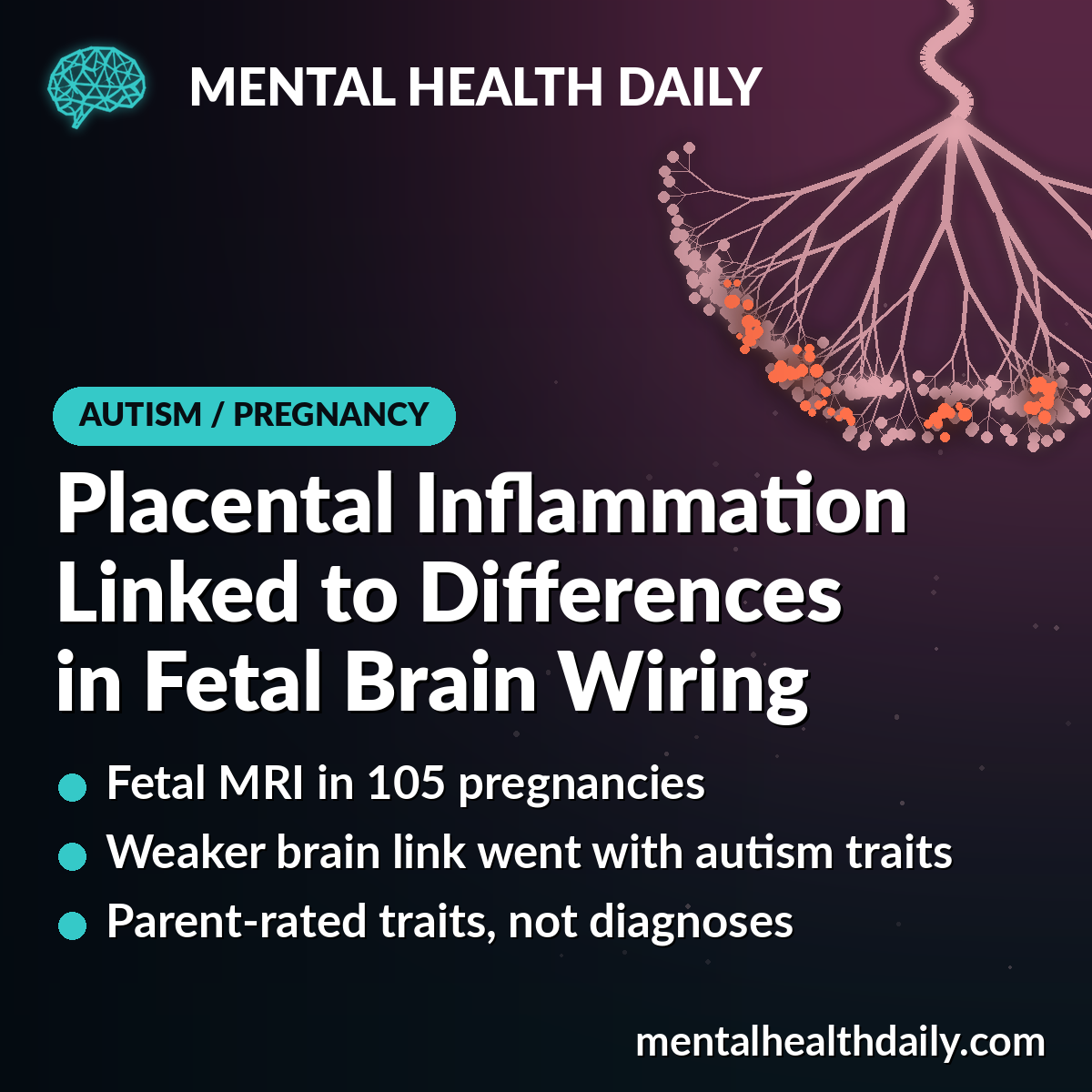 Chronic Placental Inflammation Linked to Fetal Brain Connectivity Differences