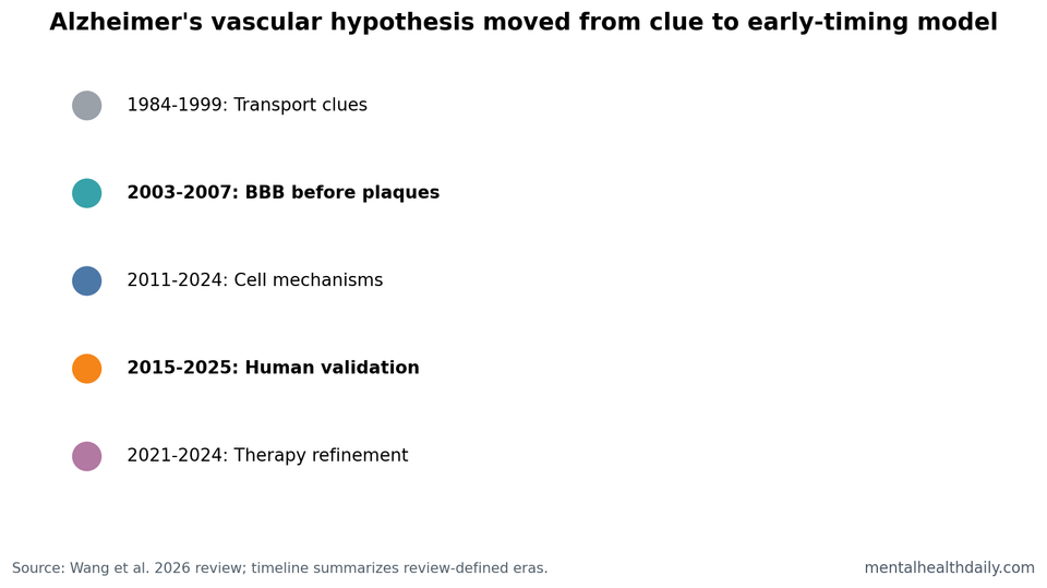 Timeline chart showing 5 review-defined eras in the Alzheimer's neurovascular hypothesis.