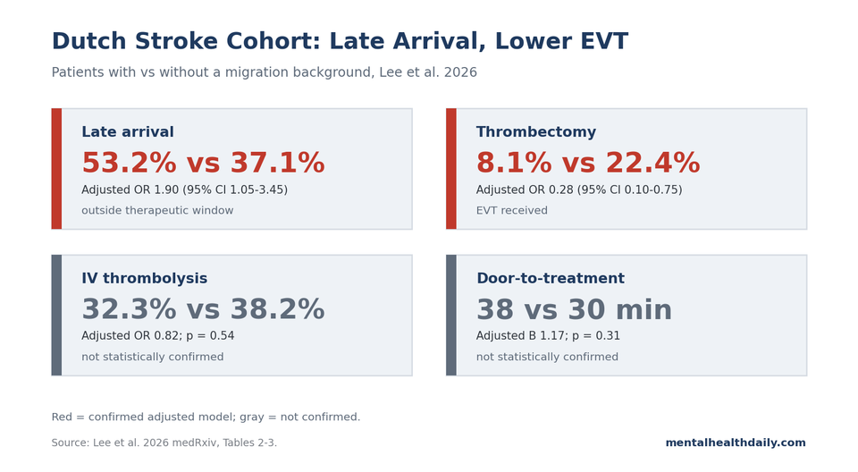 Stat-card chart from Lee 2026 showing late arrival, EVT, IVT, and door-to-treatment timing among Dutch ischemic-stroke patients with vs. without a migration background.