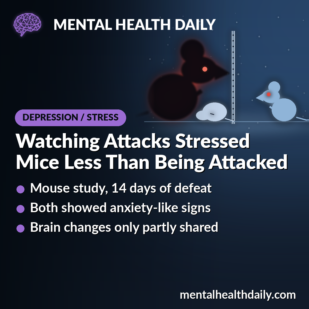 Watching Attacks Caused Milder Depression-Like Changes in Mice