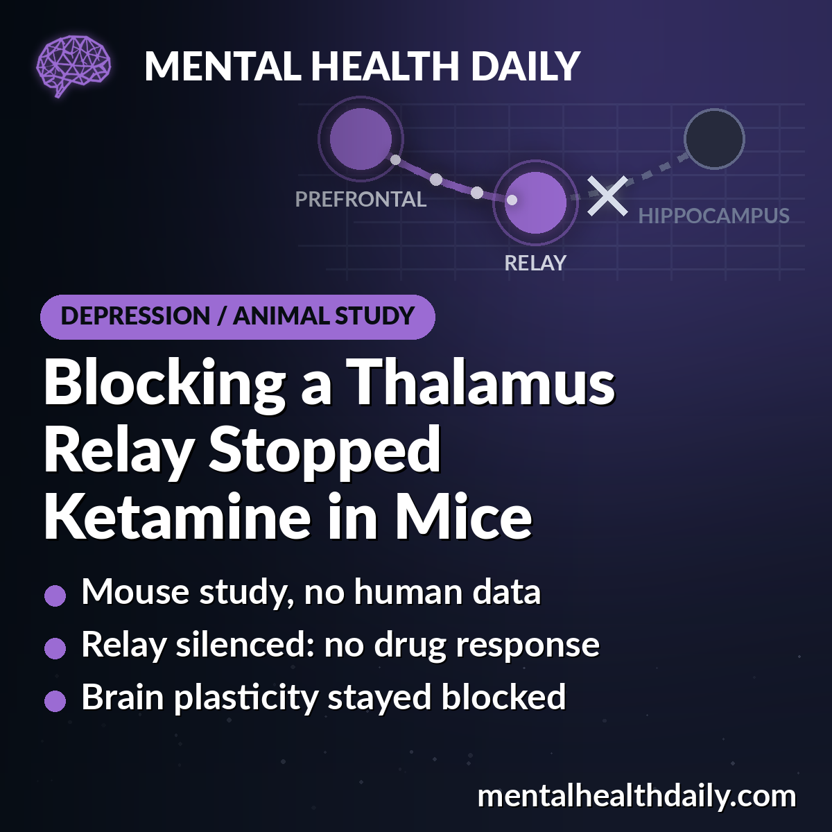 Ketamine Needs the Nucleus Reuniens Relay to Work in Mice