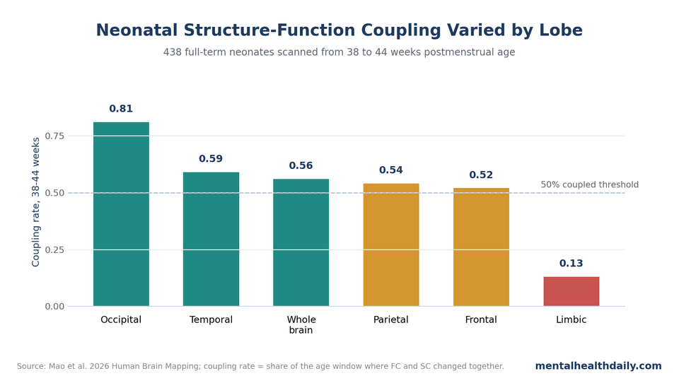 Bar chart showing structure-function coupling rates in neonatal cortex from 38 to 44 weeks.