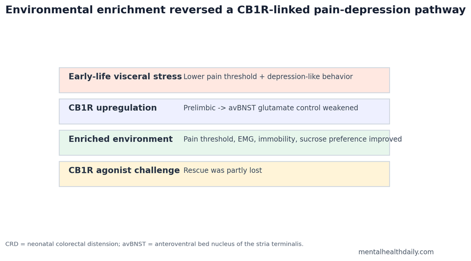 Pathway chart showing early-life visceral stress, CB1R signaling, environmental enrichment, and pain-depression behavior in rats