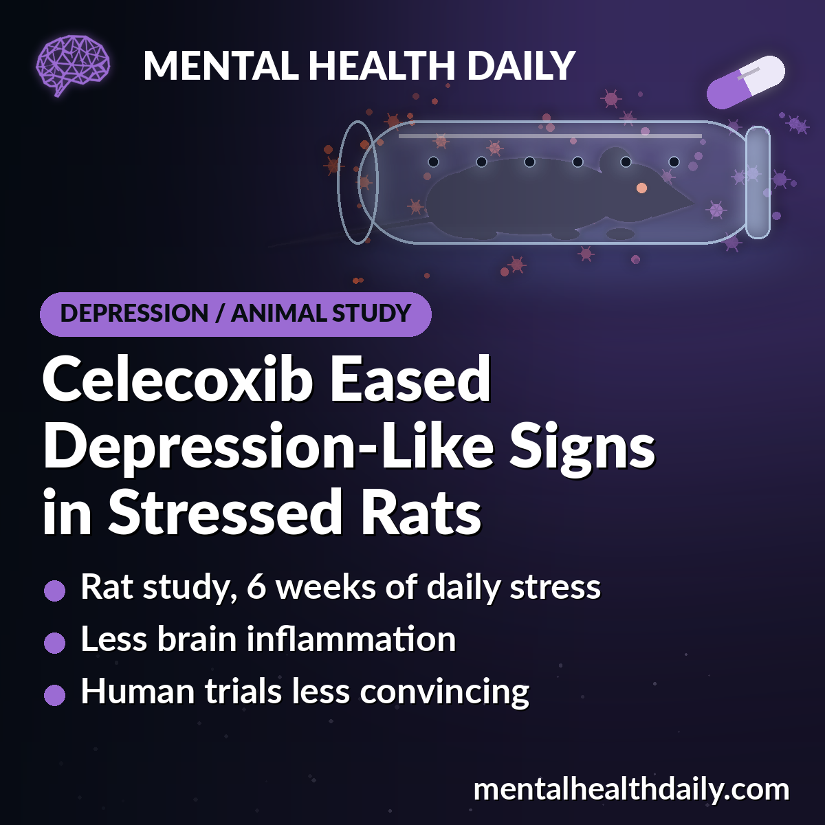 Celecoxib Reduced Depression-Like Behavior and Brain Inflammation in Stressed Rats