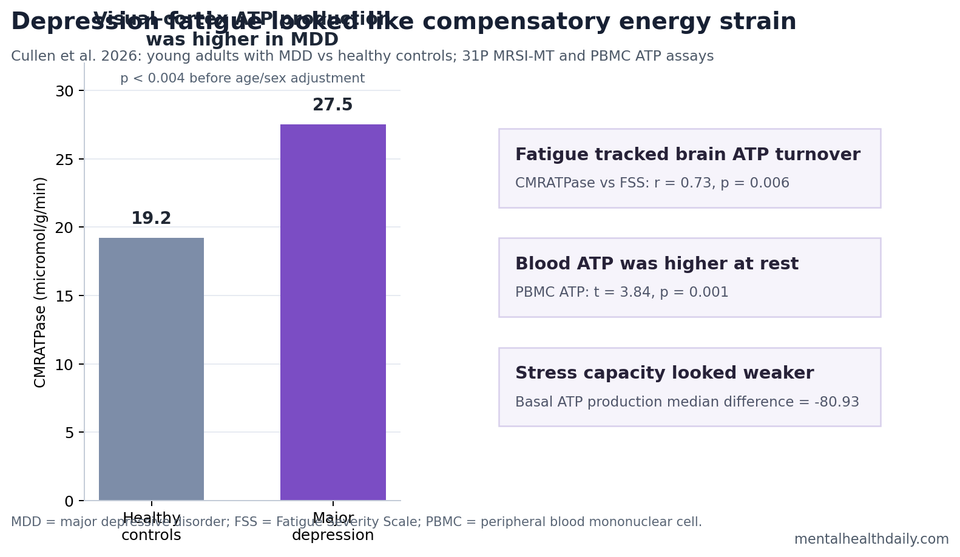 Chart summarizing higher visual cortex CMRATPase and fatigue-linked ATP findings in young adults with depression