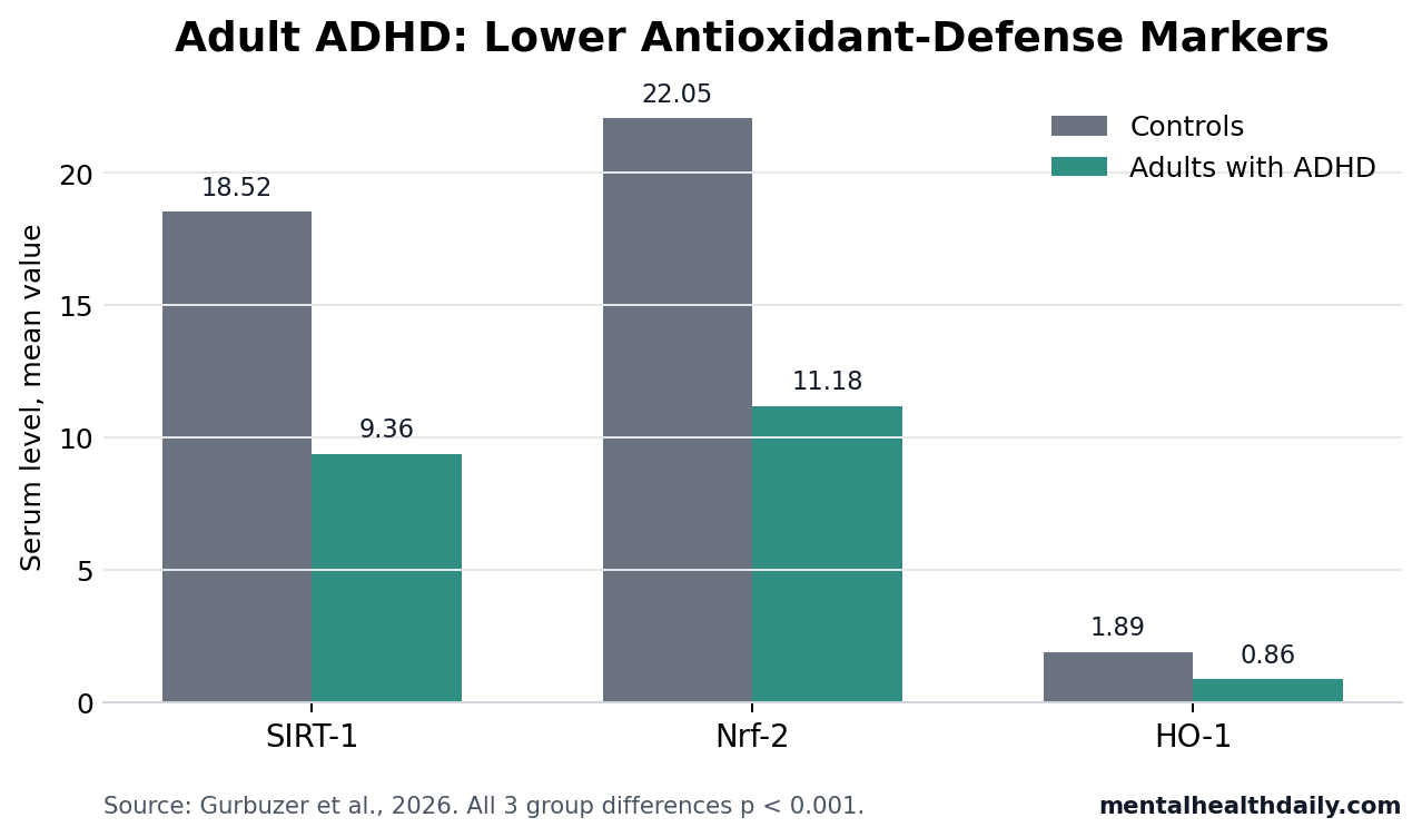 Bar chart showing lower SIRT-1, Nrf-2, and HO-1 levels in adults with ADHD than controls.