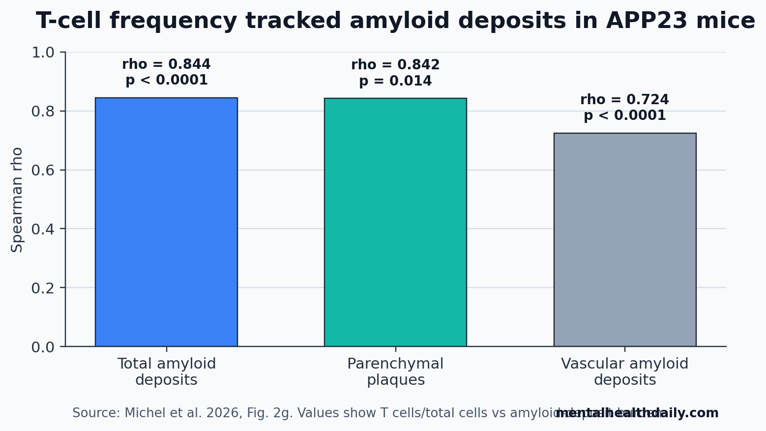 Bar chart showing Spearman correlations between T-cell frequency and amyloid deposits in Michel et al. 2026.