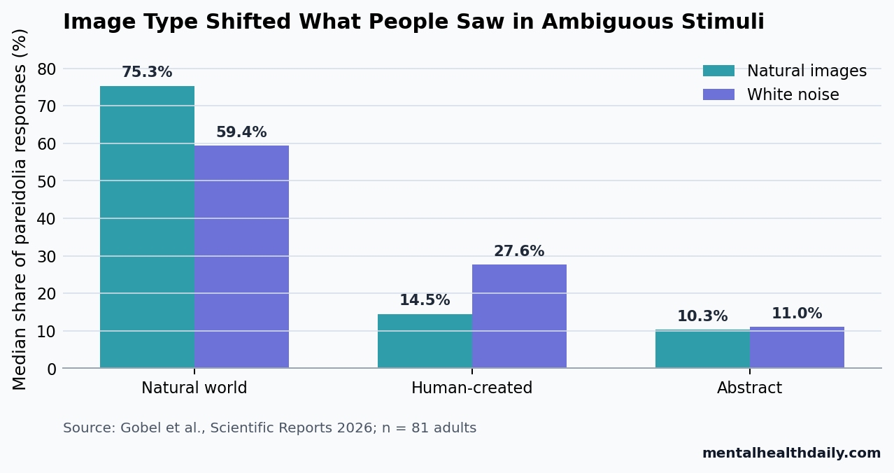 Bar chart comparing natural-world, human-created, and abstract pareidolia categories in natural images vs. white noise images