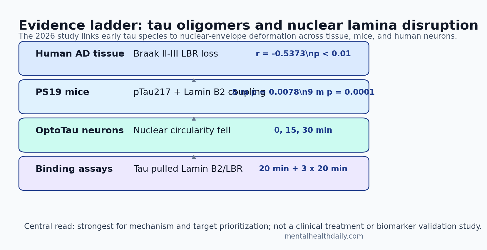 Evidence ladder linking tau oligomers to nuclear lamina disruption and chromatin changes