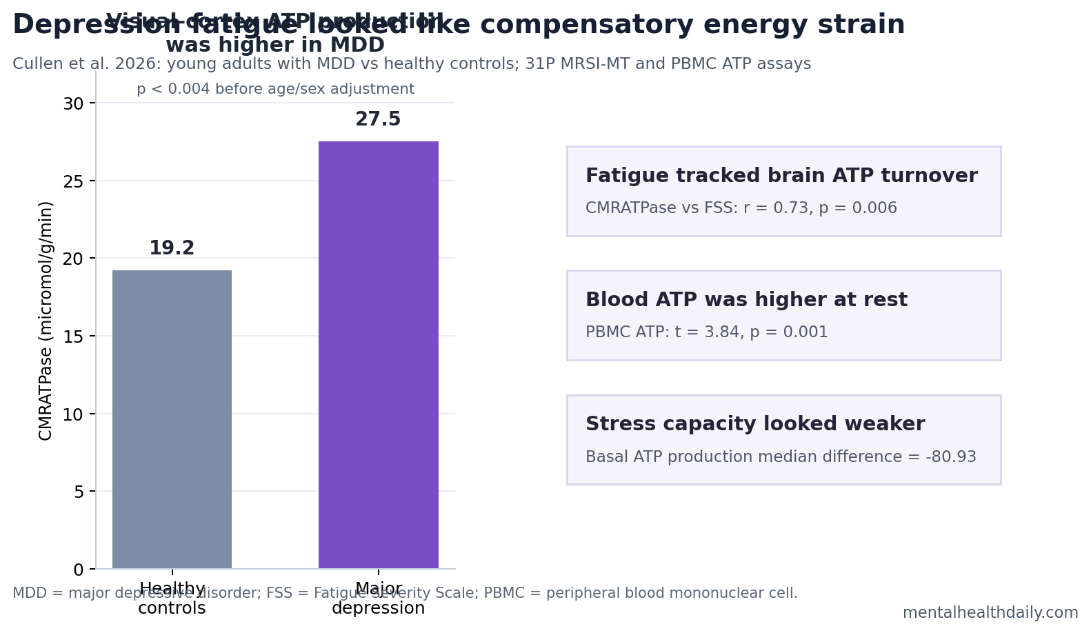 Chart summarizing higher visual cortex CMRATPase and fatigue-linked ATP findings in young adults with depression