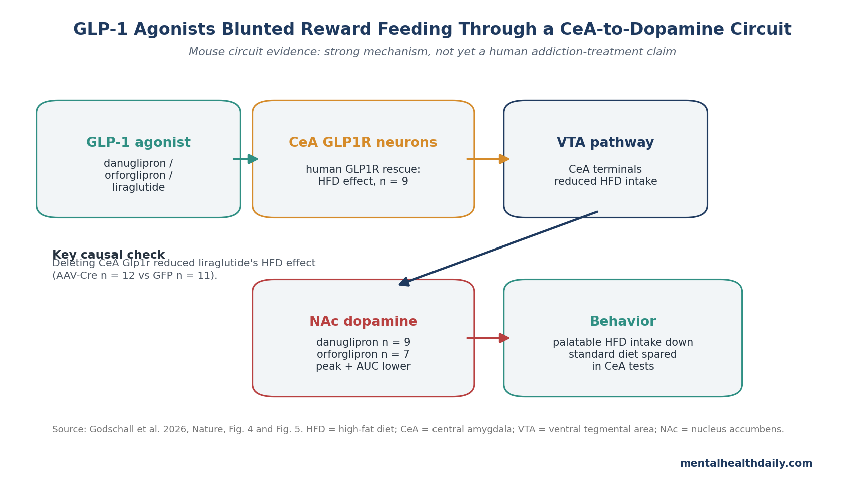 Pathway schematic showing GLP-1 agonists activating central-amygdala GLP1R neurons, signaling through ventral tegmental area dopamine neurons, lowering nucleus-accumbens dopamine during palatable-food retrieval, and reducing high-fat-food intake.
