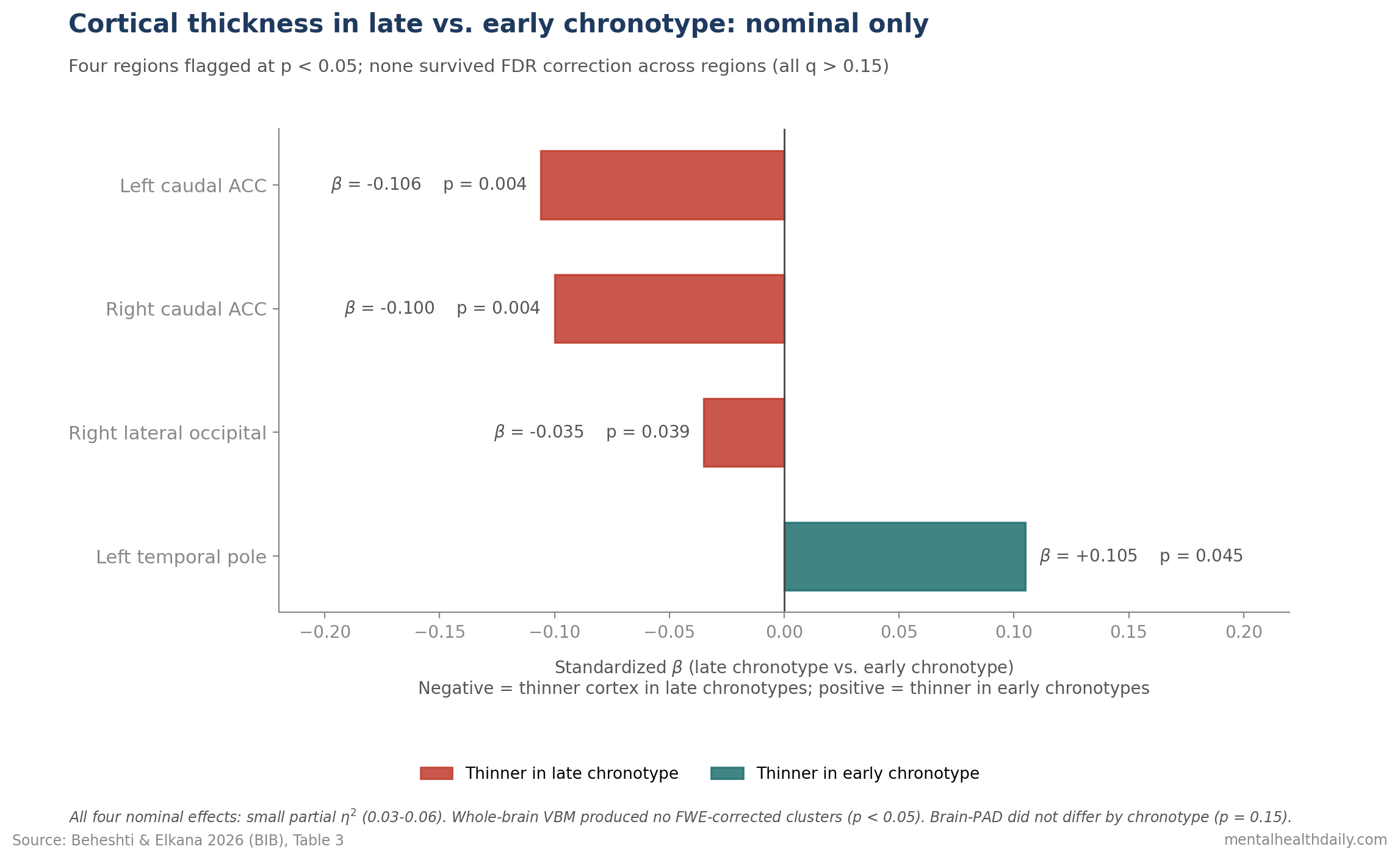 Bar chart of cortical thickness standardized beta coefficients for late minus early chronotype across four regions, with FDR-corrected and uncorrected significance levels marked, showing all effects nominal and none surviving FDR correction