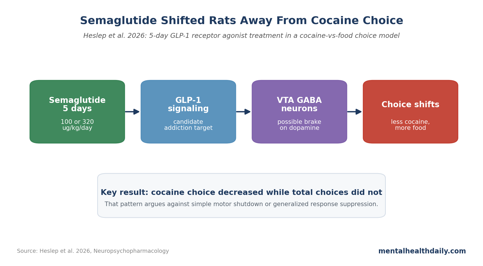 Simple pathway chart showing semaglutide treatment shifting rat behavior away from cocaine choice and toward food choice