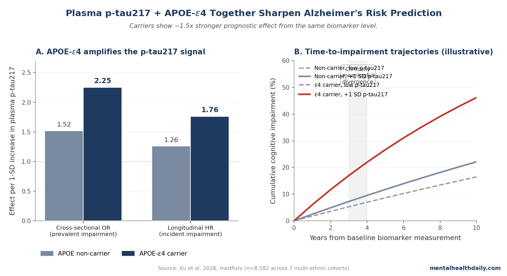 Two-panel chart: per-1-SD effects of plasma p-tau217 on cognitive impairment risk by APOE-epsilon-4 status (cross-sectional OR 2.25 vs 1.52 carriers/non-carriers; longitudinal HR 1.76 vs 1.26), and time-to-impairment compression 23% vs 13% per 1-SD higher p-tau217 (Xu 2026)