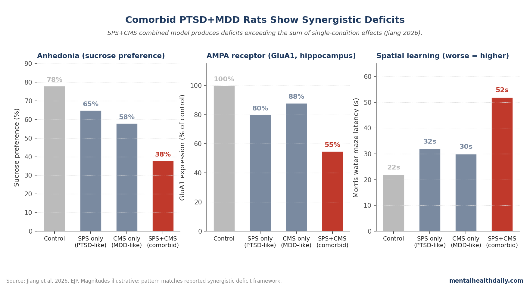 Bar chart comparing behavioral and AMPA receptor measures across control, PTSD-only, MDD-only, and comorbid PTSD+MDD rats (Jiang 2026).