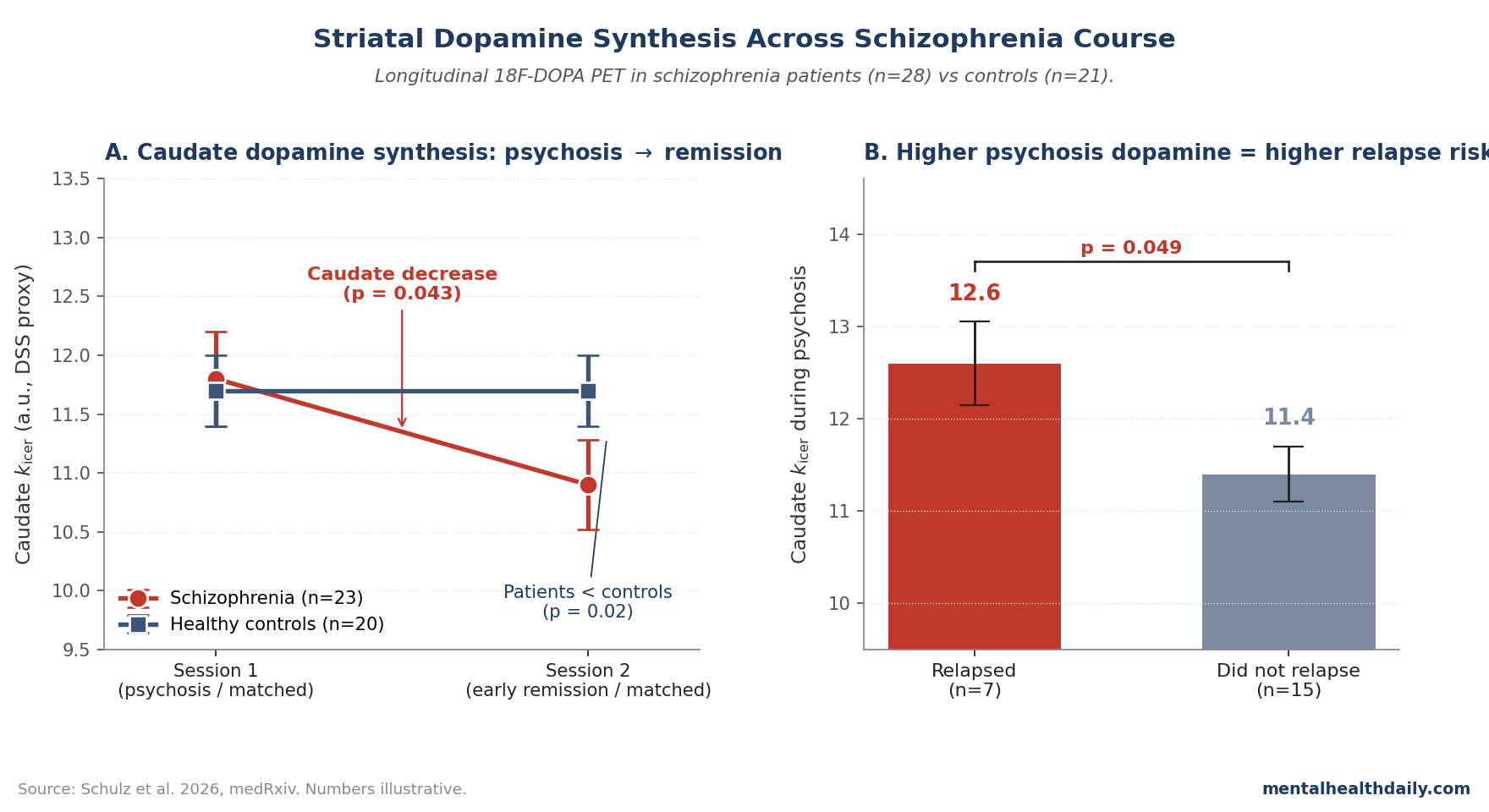 Two-panel chart: longitudinal striatal dopamine synthesis (kicer) in caudate showing patient values dropping from psychosis to remission while controls remain stable, and exploratory follow-up showing higher caudate kicer during psychosis in patients who later relapsed (Schulz 2026)