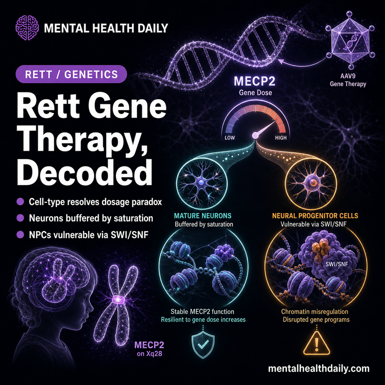 MeCP2 Overexpression Hit 5,000 Progenitor Genes but Spared Neurons ...