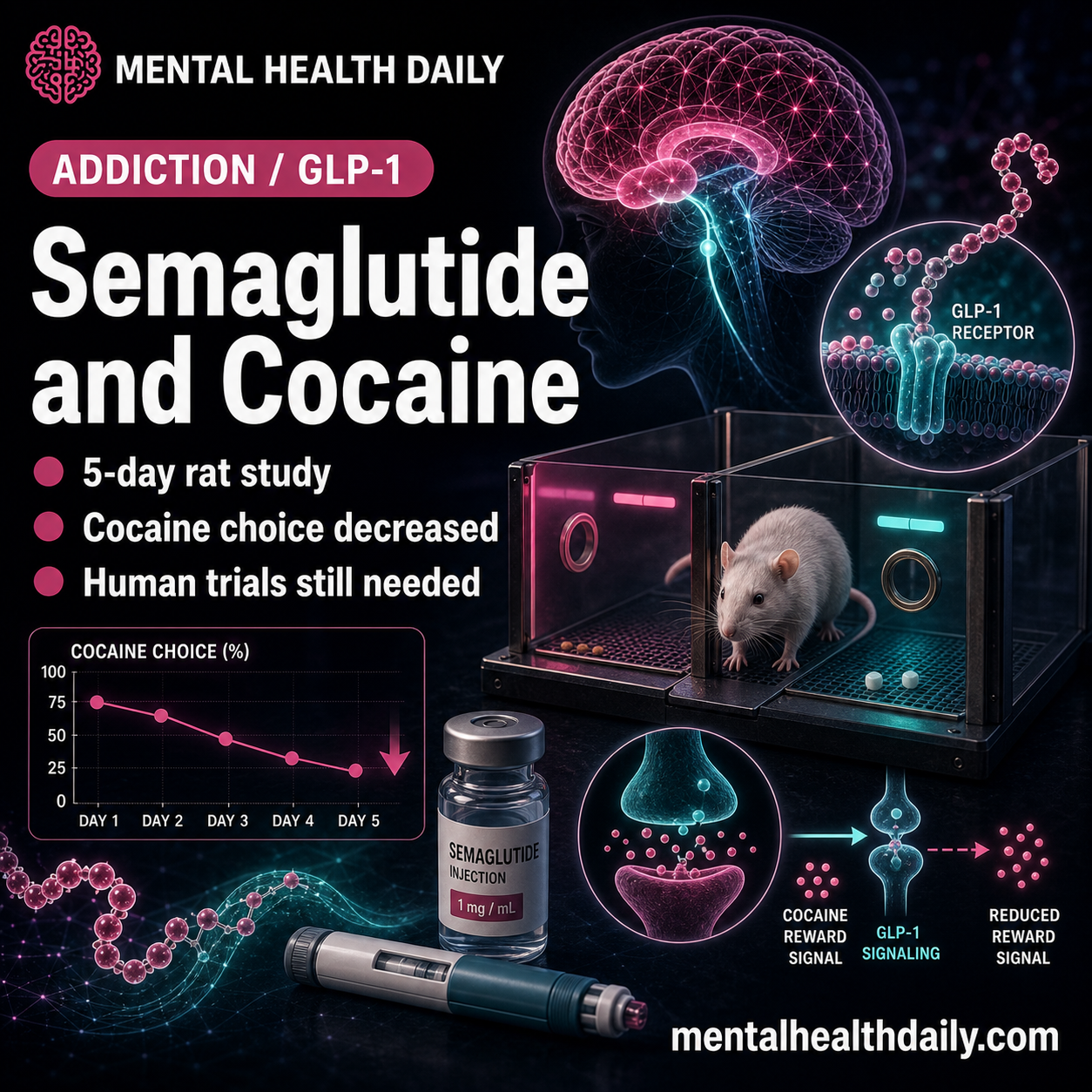 semaglutide and cocaine Semaglutide Reduced Cocaine Choice in Rat Study
