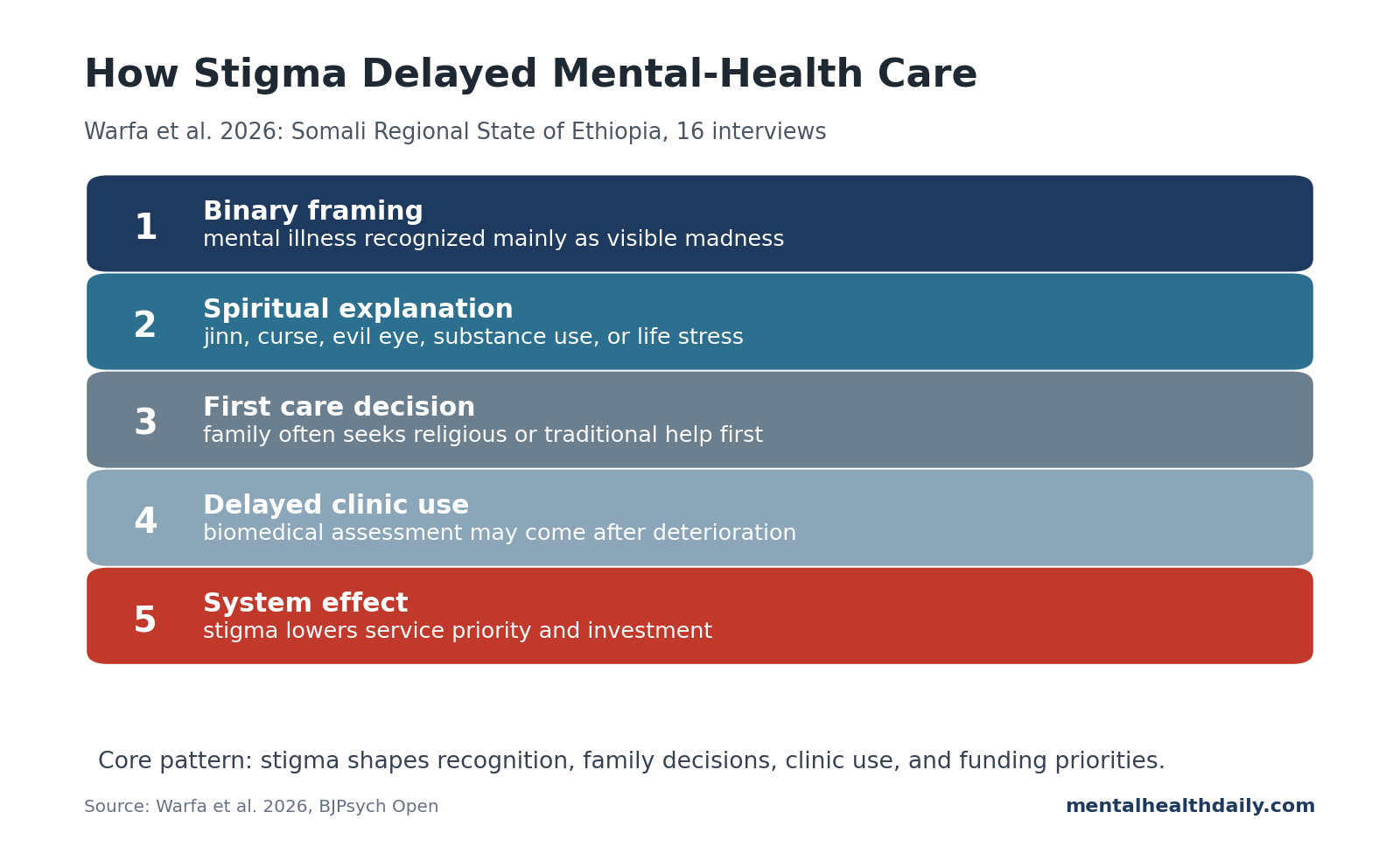 Care pathway diagram showing binary mental illness framing, spiritual explanation, traditional or religious care first, delayed biomedical care, and service underinvestment.