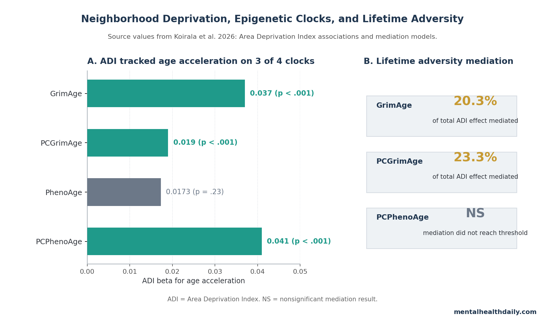 Chart showing ADI associations with 4 epigenetic clocks: GrimAge beta 0.037, PCGrimAge beta 0.019, PhenoAge beta 0.0173 not significant, and PCPhenoAge beta 0.041, with mediation callouts for lifetime adversity.
