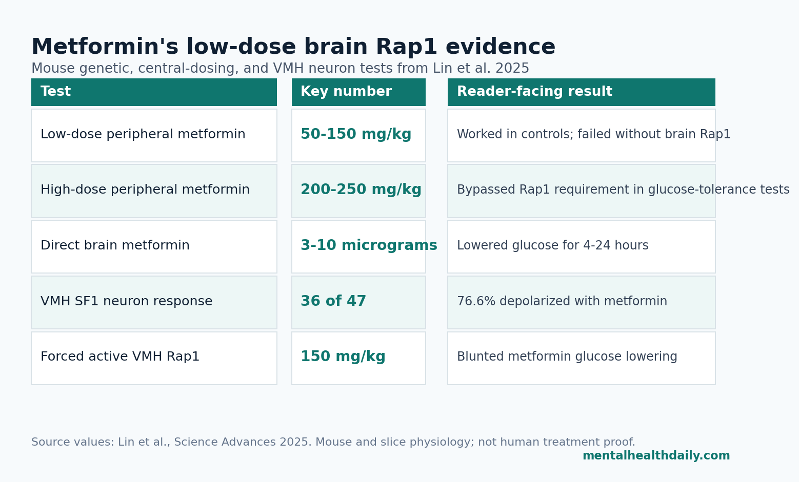 Evidence-status chart showing where low-dose metformin, brain Rap1, central dosing, and VMH SF1 neuron responses fit in the mouse study.
