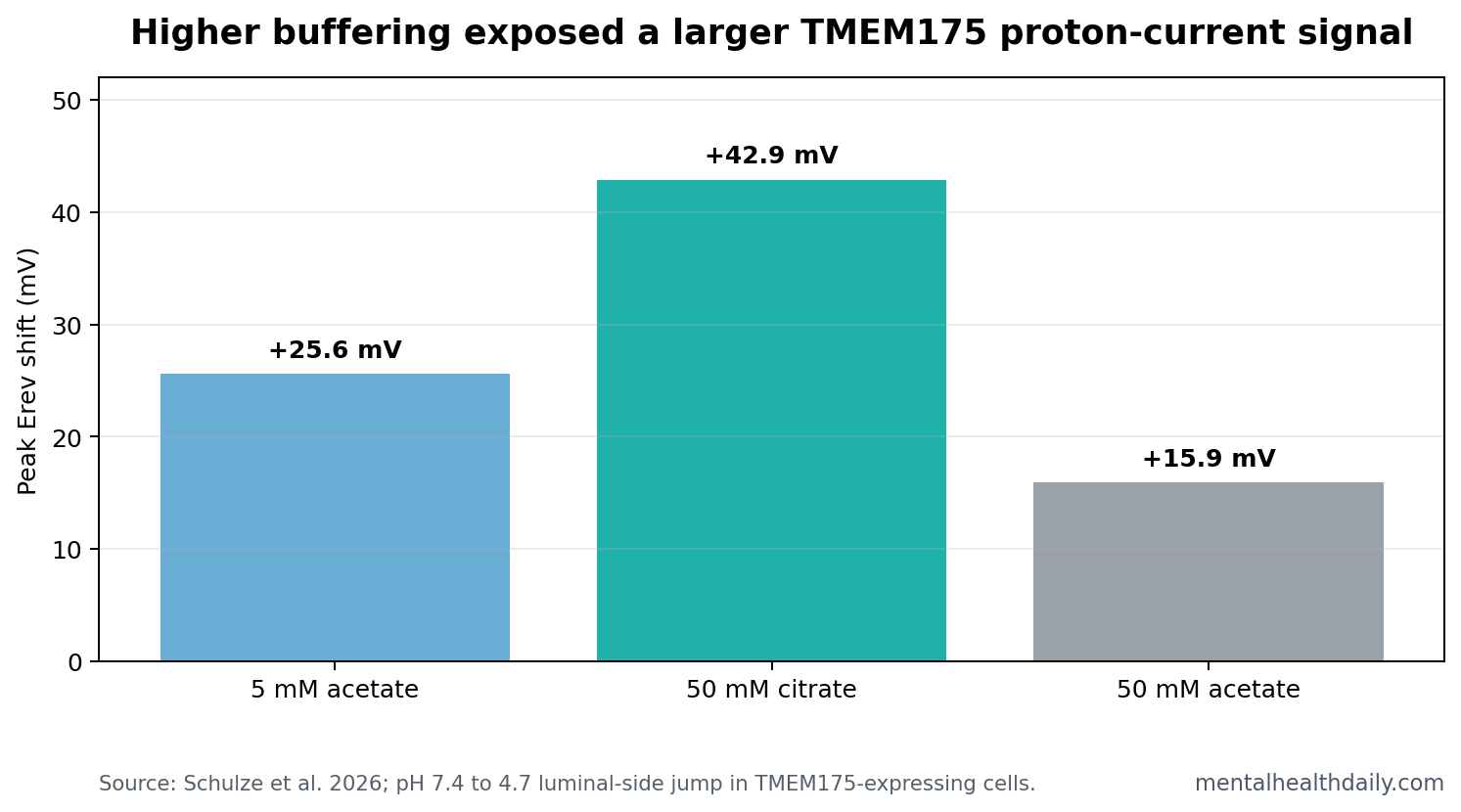 Bar chart comparing TMEM175 Erev peak shifts under 5 mM acetate, 50 mM citrate, and 50 mM acetate buffer conditions.