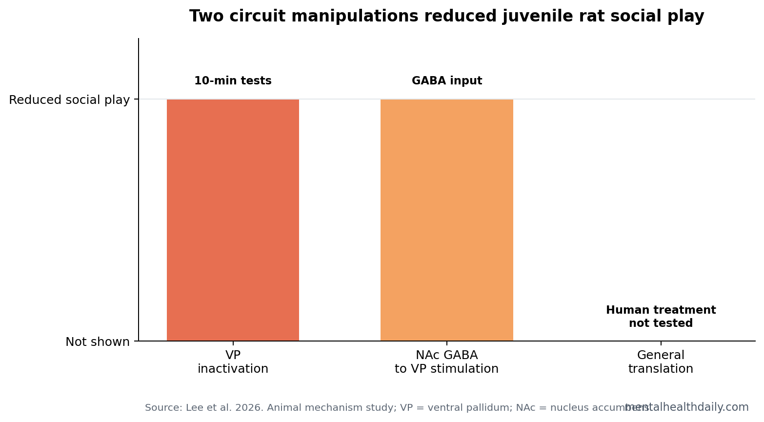 Nucleus accumbens to ventral pallidum social play circuit chart showing VP inactivation and NAc GABA terminal stimulation both reduce play.