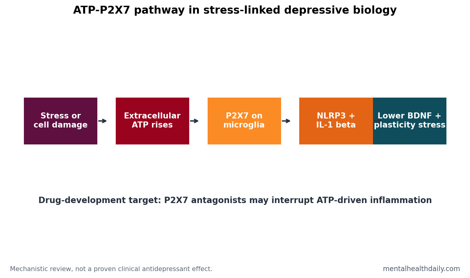 Pathway chart showing stress raising extracellular ATP, P2X7 activation, microglial inflammasome signaling, cytokines, BDNF reduction, and depressive-like behavior.