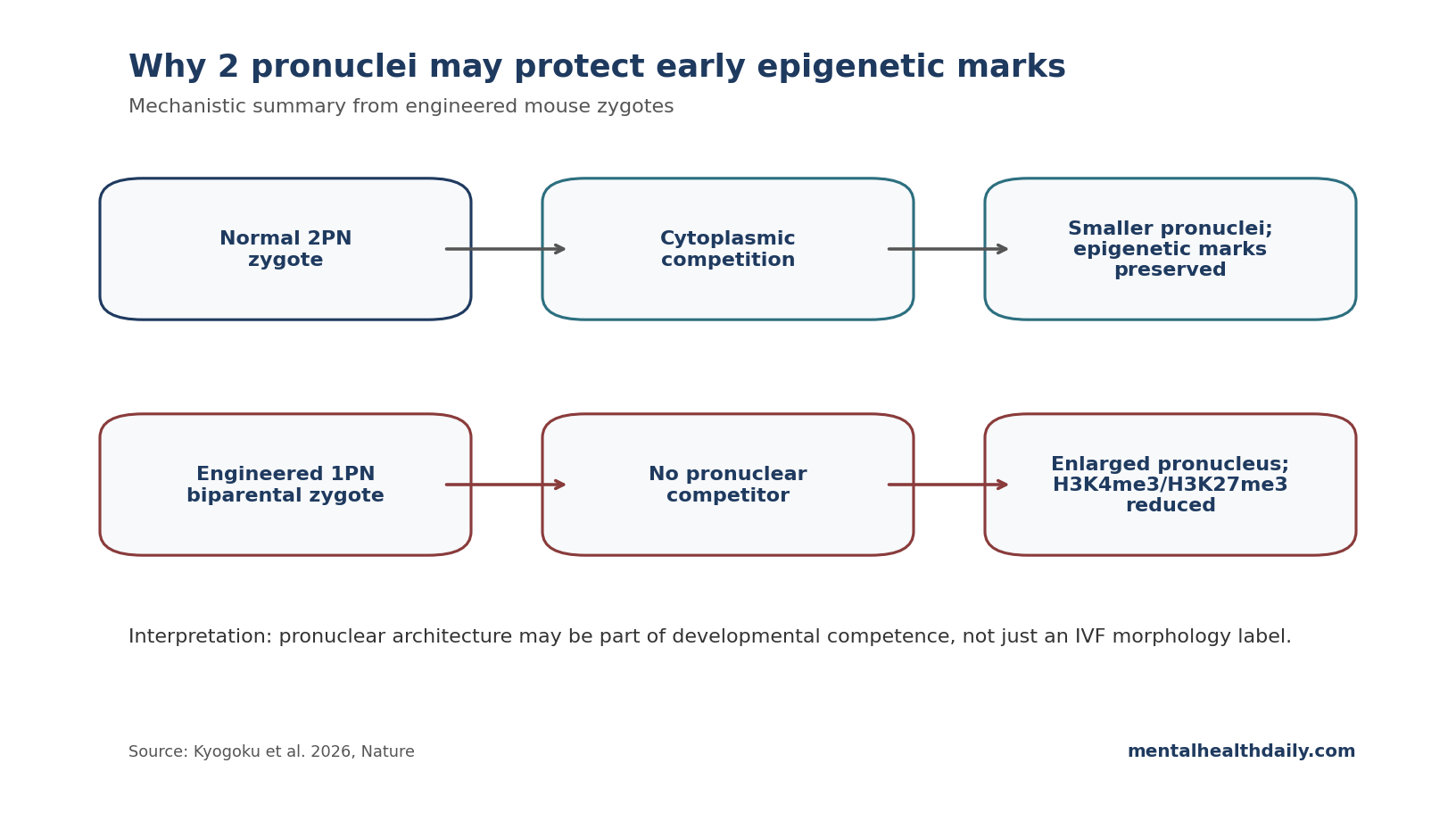 Schematic chart showing how two pronuclei compete for cytoplasmic resources while one enlarged pronucleus loses volume control and epigenetic marks.
