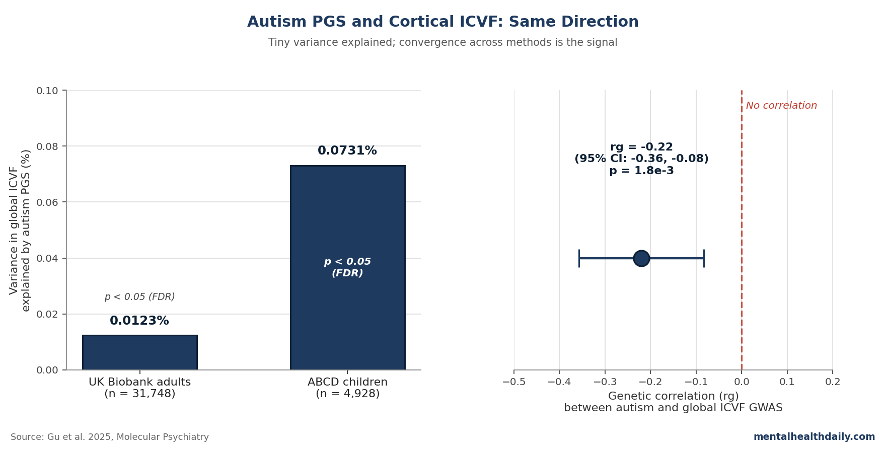 Bar chart showing autism PGS variance explained for global ICVF in UK Biobank adults and ABCD children, alongside the global genetic correlation between autism and ICVF GWAS (Gu et al. 2025).