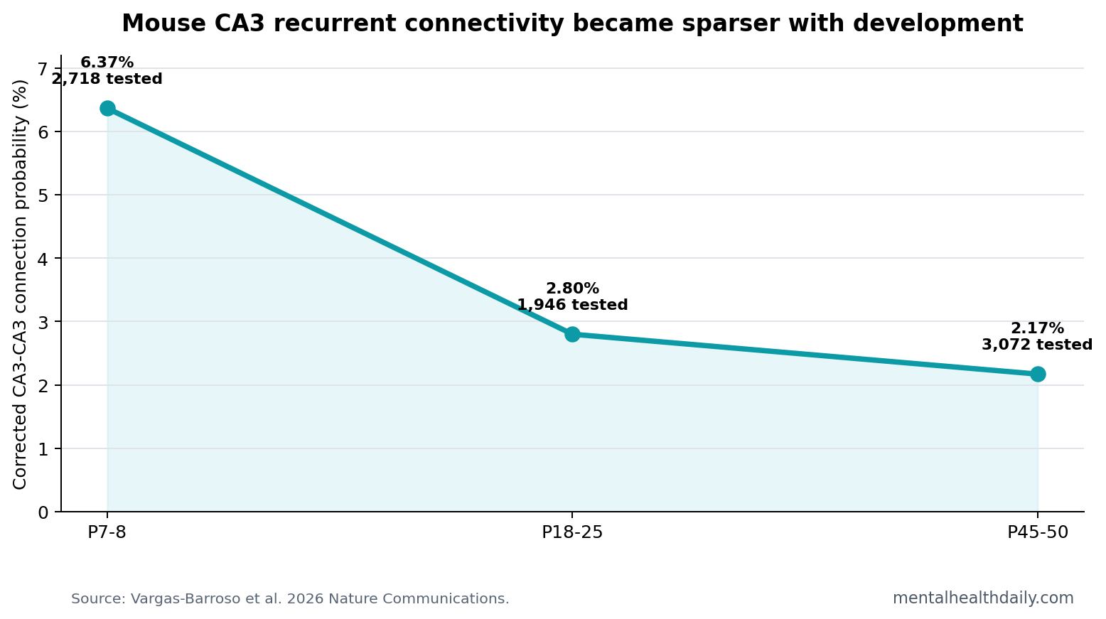 Line chart showing corrected mouse CA3 recurrent connection probability declining from 6.37% at P7-8 to 2.8% at P18-25 and 2.17% at P45-50.