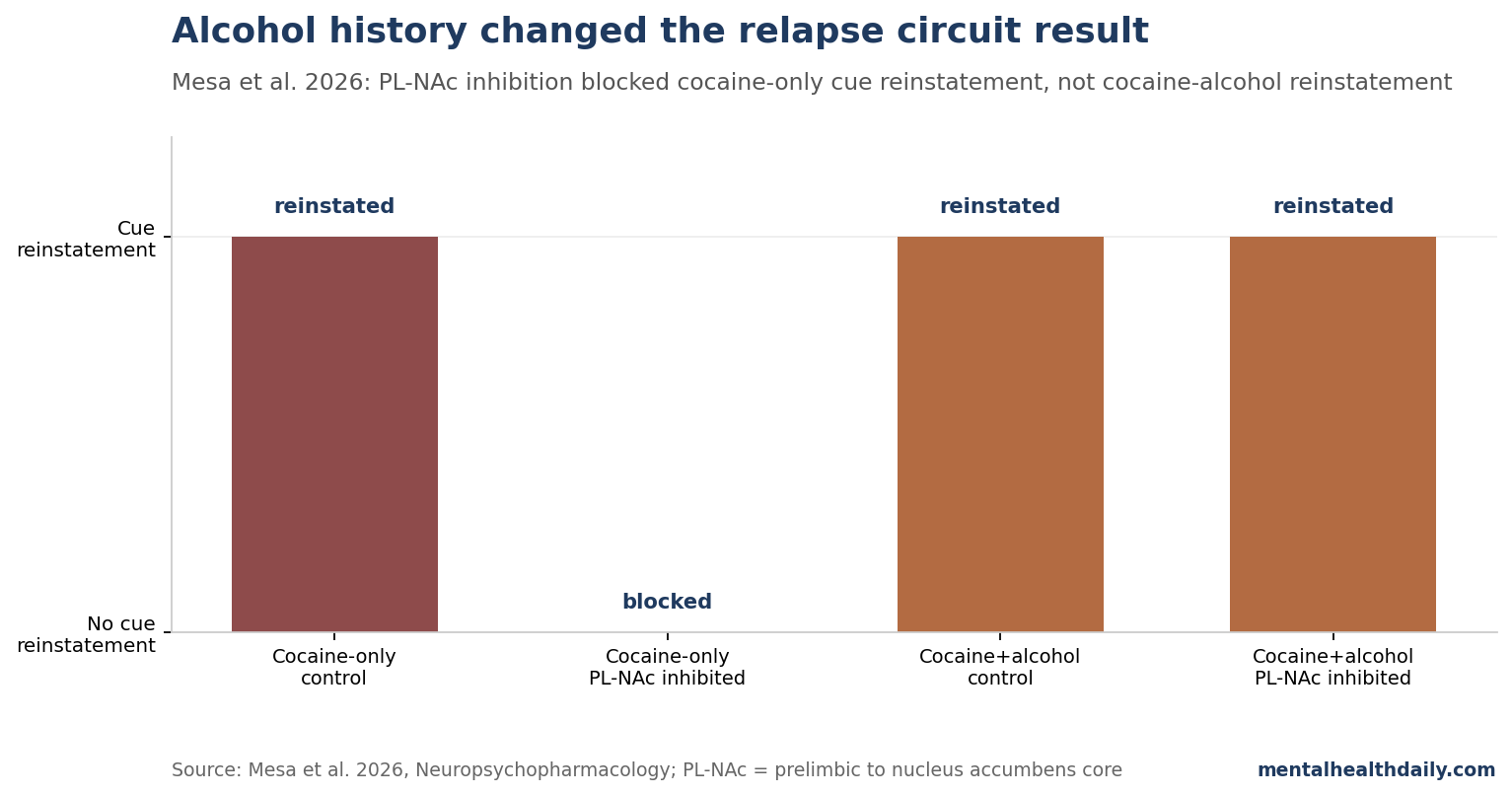 Bar chart showing that prelimbic-accumbens inhibition blocked reinstatement in cocaine-only rats but not in cocaine-alcohol rats.