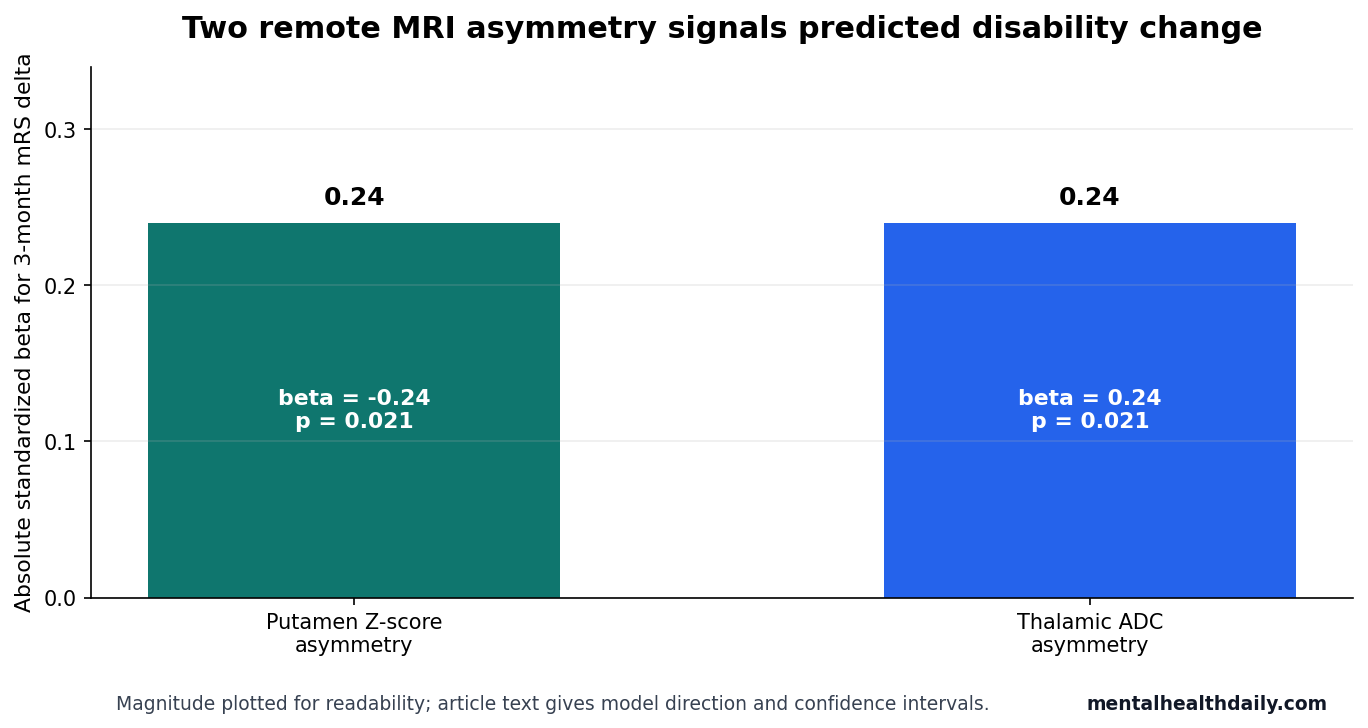 Bar chart showing putamen Z-score asymmetry and thalamic ADC asymmetry as equal-magnitude predictors of 3-month modified Rankin Scale delta.