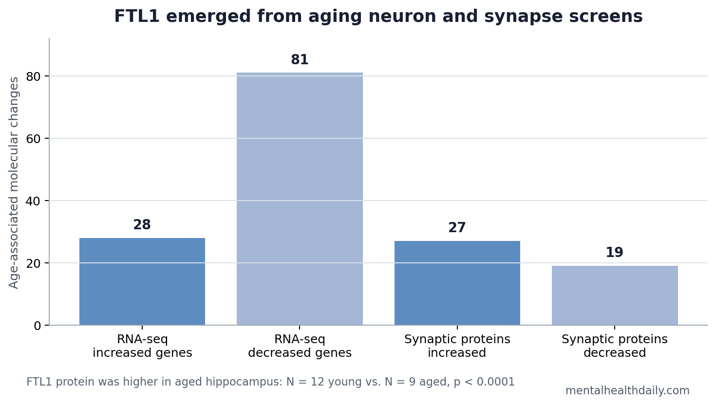 Bar chart showing 28 increased genes, 81 decreased genes, 27 increased proteins, and 19 decreased proteins in the FTL1 aging screens