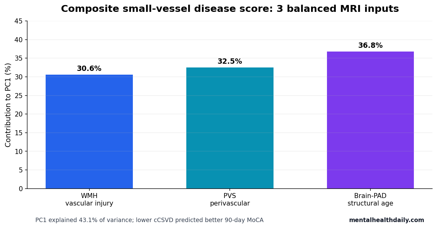Bar chart showing the 3 MRI marker contributions to the composite small-vessel disease score.
