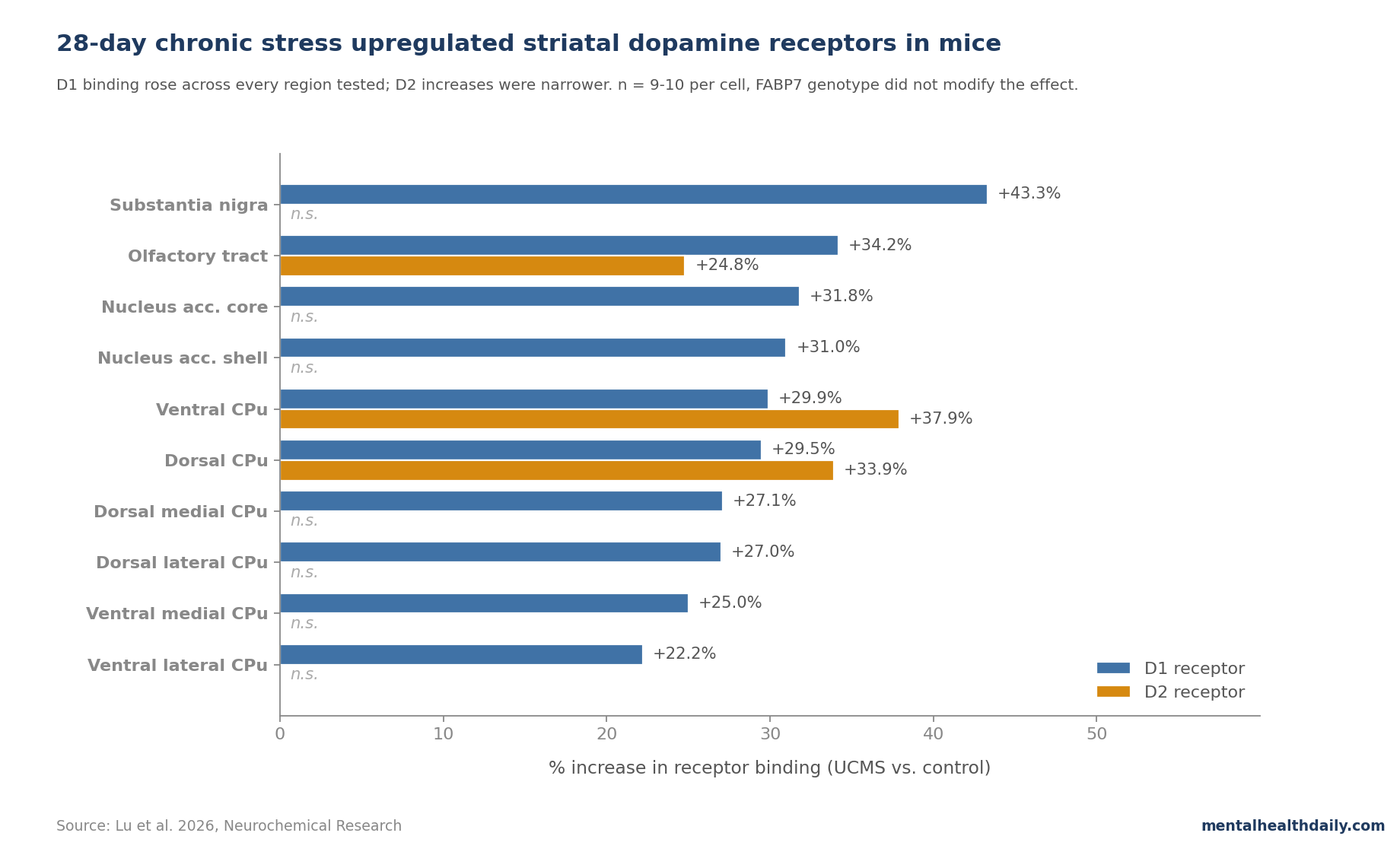 Bar chart showing percent increases in dopamine D1 and D2 receptor binding after 28-day UCMS chronic stress in mice across striatal subregions, nucleus accumbens, olfactory tract, and substantia nigra. D1 increases ranged 22 to 48 percent and were significant in every region tested. D2 increases were significant only in dorsal CPu, ventral CPu, and olfactory tract. Data from Lu et al. 2026.