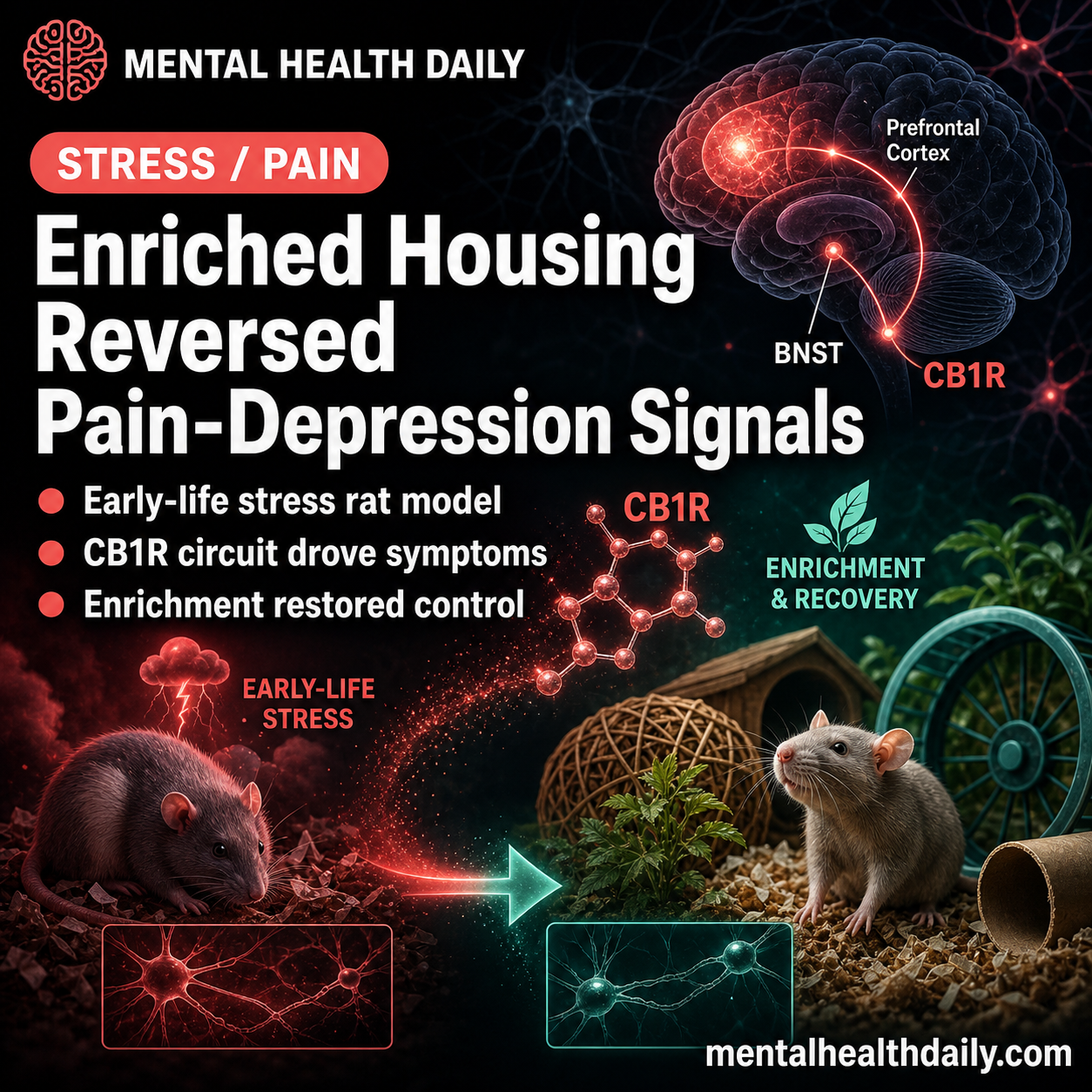 Environmental Enrichment Reversed Visceral Pain and Depression in Rats ...