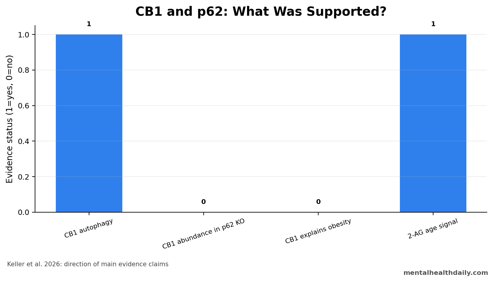 Evidence-status chart showing CB1 autophagy supported, p62-driven CB1 abundance not supported, and p62 obesity still present.