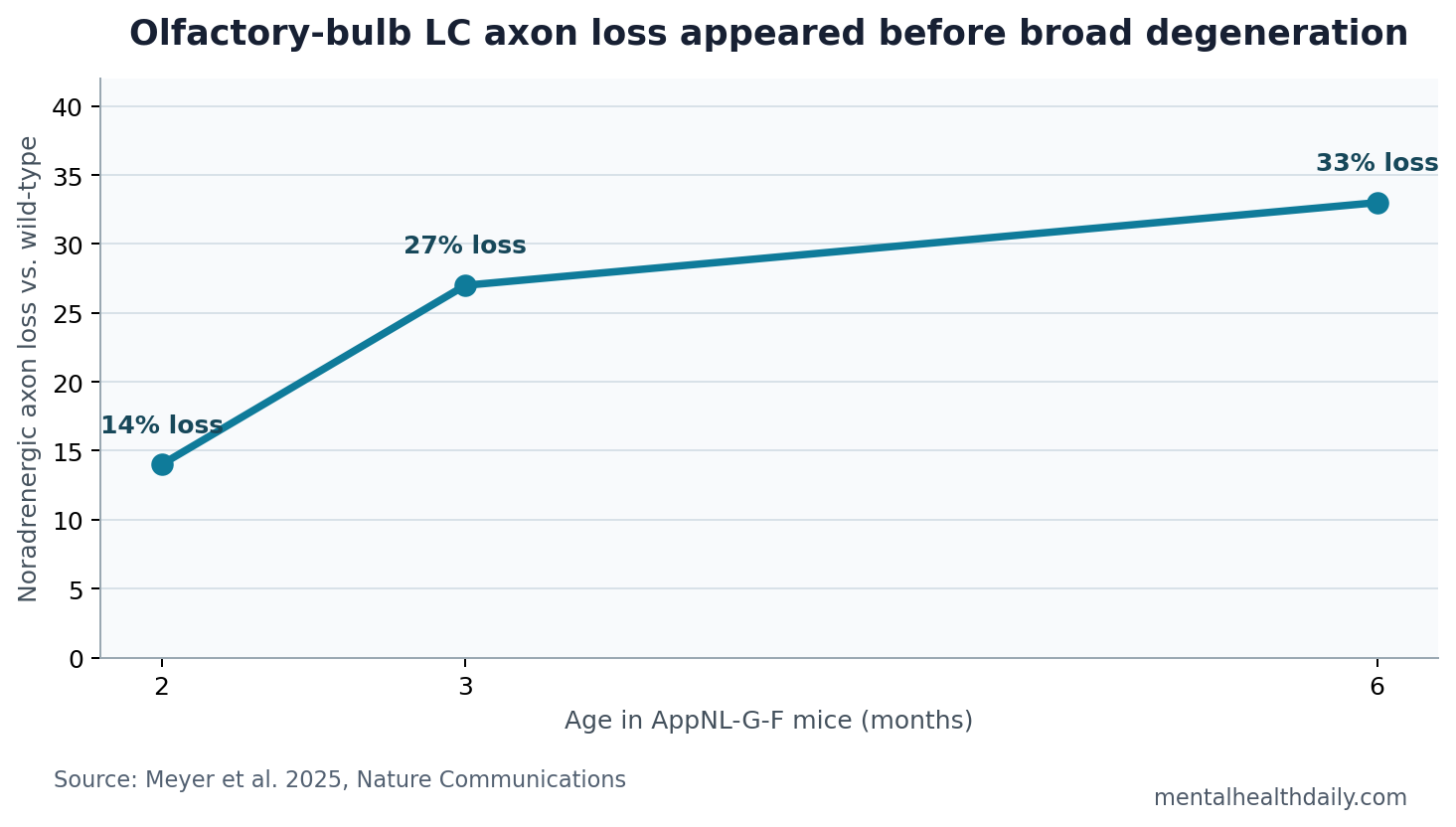 Line chart showing 14%, 27%, and 33% olfactory-bulb locus coeruleus axon loss at 2, 3, and 6 months in AppNL-G-F mice