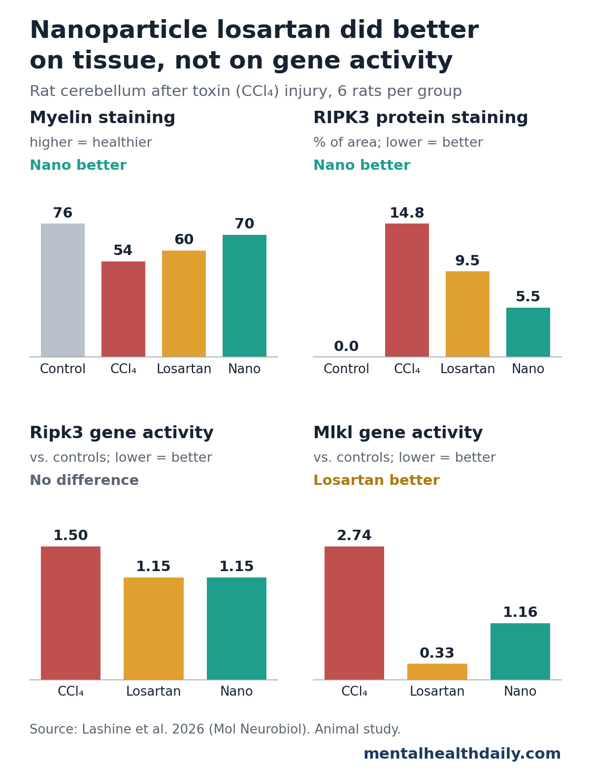 Four bar charts from a 2026 rat study of toxin-induced cerebellar injury. Myelin staining was 75.7 in controls, 54.4 after carbon tetrachloride, 60.5 with regular losartan and 69.5 with nanoparticle losartan. RIPK3 protein staining covered 0% in controls, 14.8% after the toxin, 9.5% with losartan and 5.5% with nanoparticles. Ripk3 gene activity was 1.50 after the toxin and 1.15 with both forms. Mlkl gene activity was 2.74 after the toxin, 0.33 with regular losartan and 1.16 with nanoparticles.