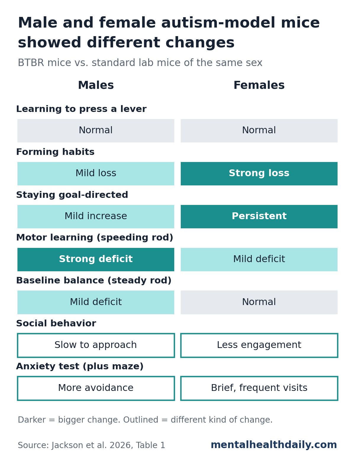 Grid summarizing a 2026 mouse study comparing male and female BTBR autism-model mice with standard lab mice of the same sex. Learning to press a lever: normal in both sexes. Forming habits: mild loss in males, strong loss in females. Staying goal-directed: mild increase in males, persistent in females. Motor learning on a speeding rod: strong deficit in males, mild in females. Baseline balance on a steady rod: mild deficit in males, normal in females. Social behavior: males slow to approach, females less engagement. Anxiety maze: males more avoidance, females brief, frequent visits.