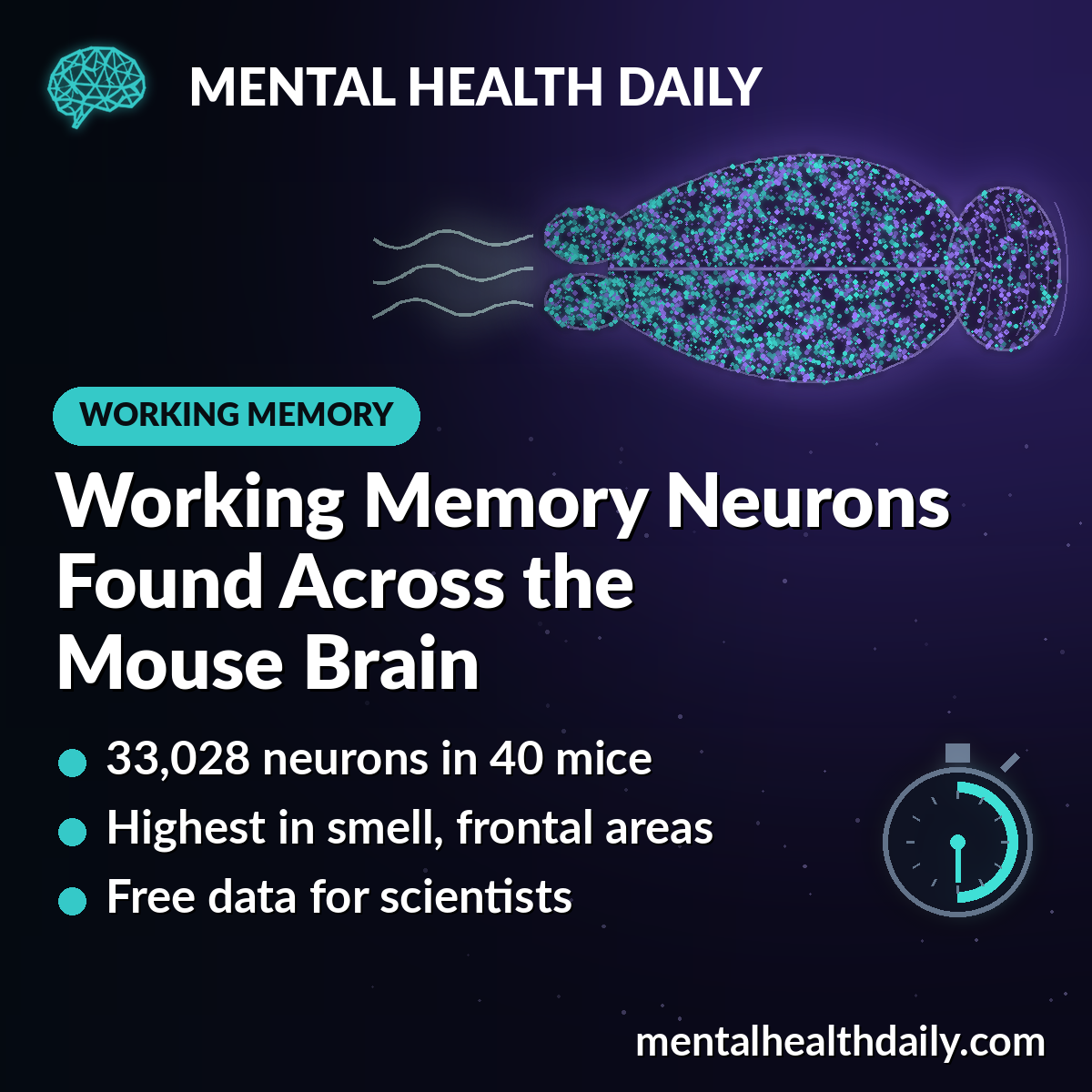 Open Dataset Maps Working Memory Neurons Across the Mouse Brain